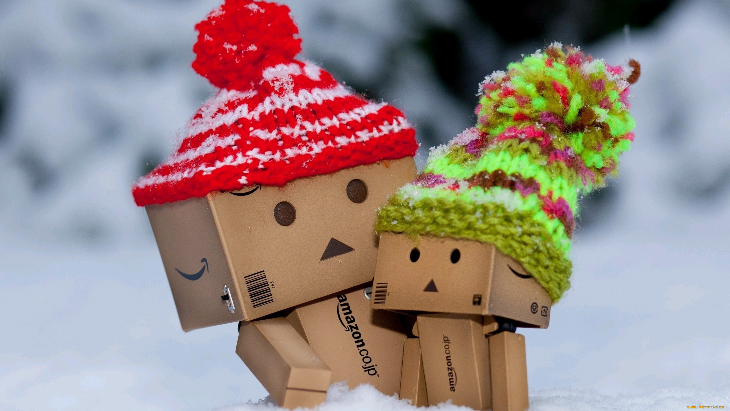 , , danboard, 